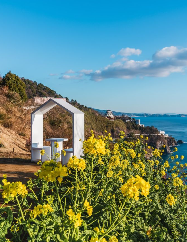 日本打卡-日本景點-東京-澀谷