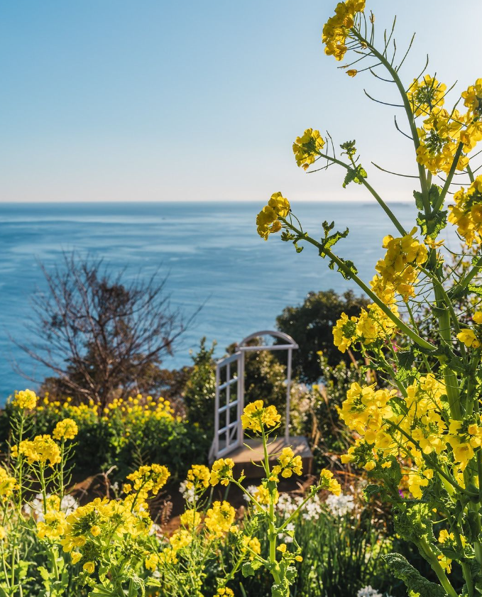 日本打卡-日本景點-東京-澀谷