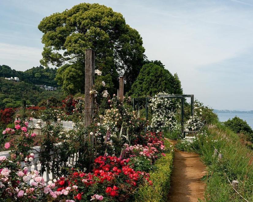 日本打卡-日本景點-東京-澀谷
