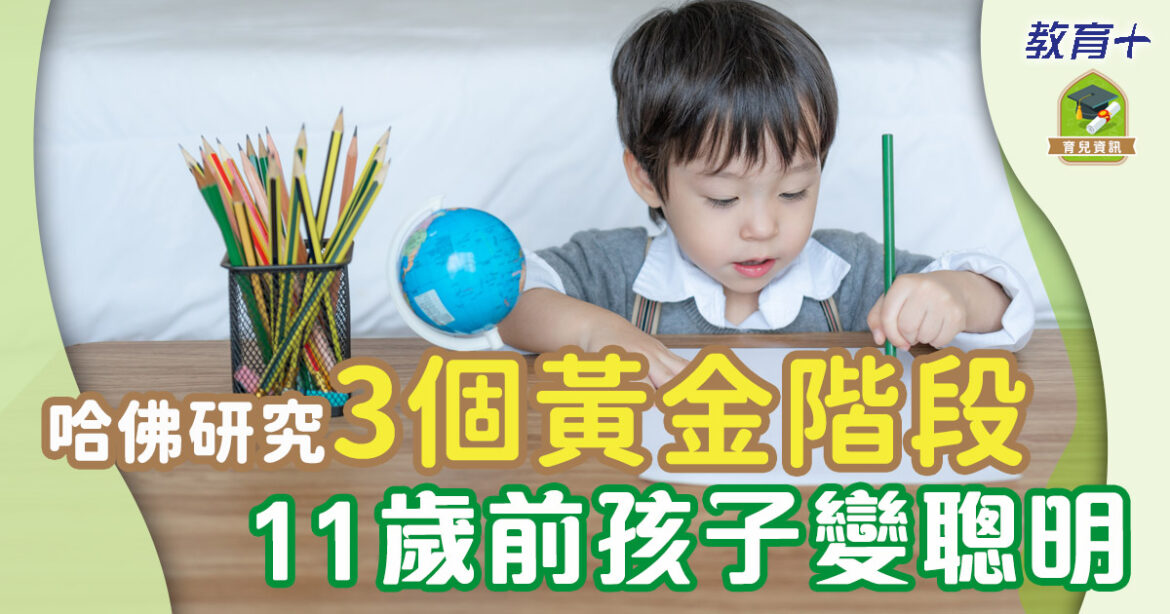 孩子大腦發展3大黃金階段