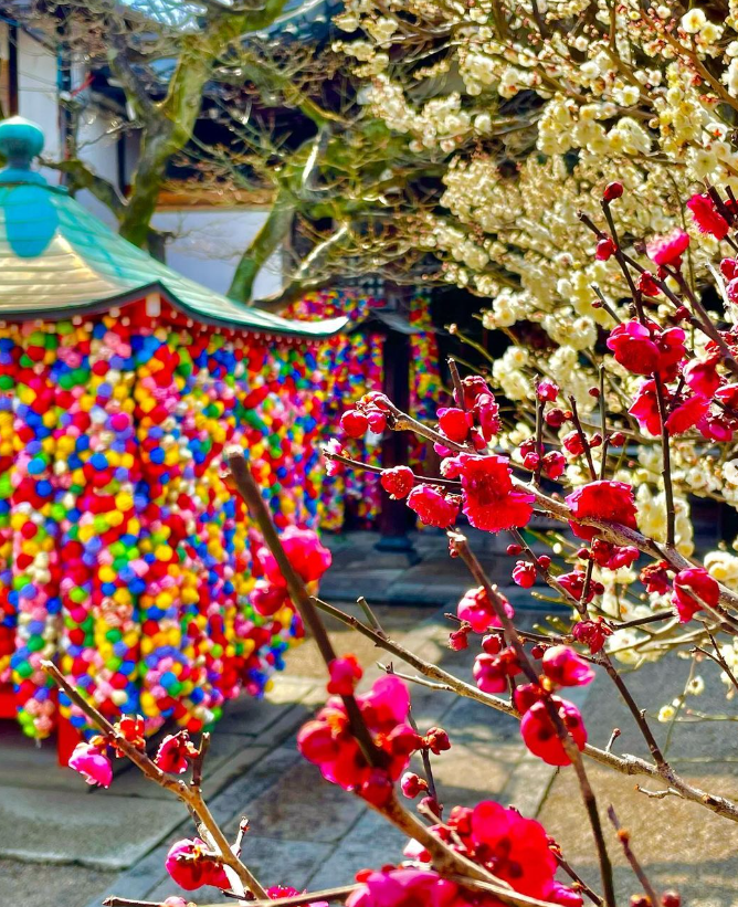 日本打卡-日本景點-東京-澀谷