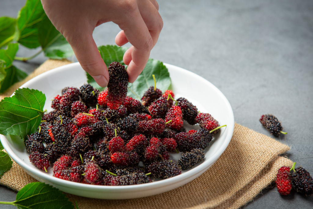 健康-時令養生-飲食-中醫-女性保健