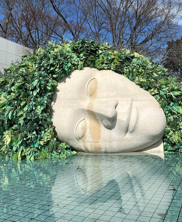 日本打卡-日本景點-東京-澀谷