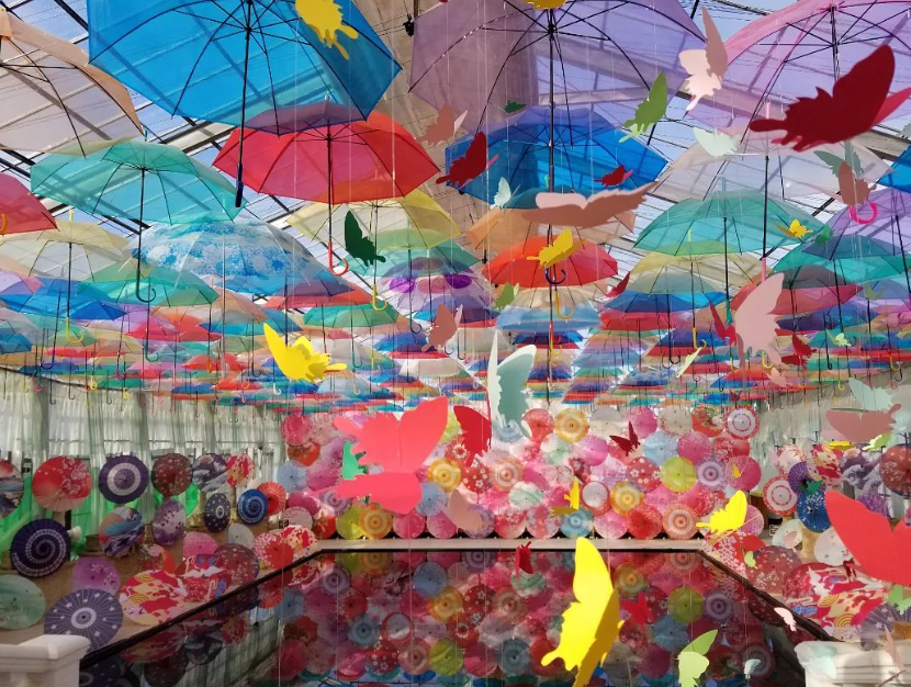 日本打卡-日本景點-東京-澀谷