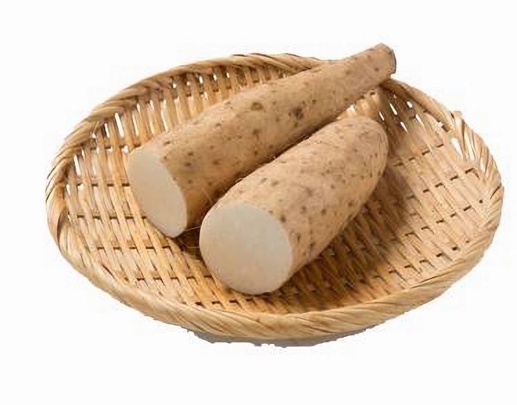 健康-時令養生-流感