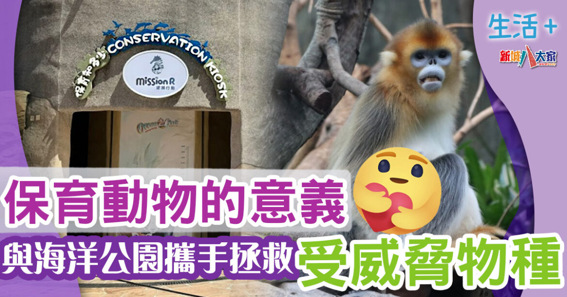 動物保育｜保育工作的意義　與海洋公園攜手拯救受威脅物種