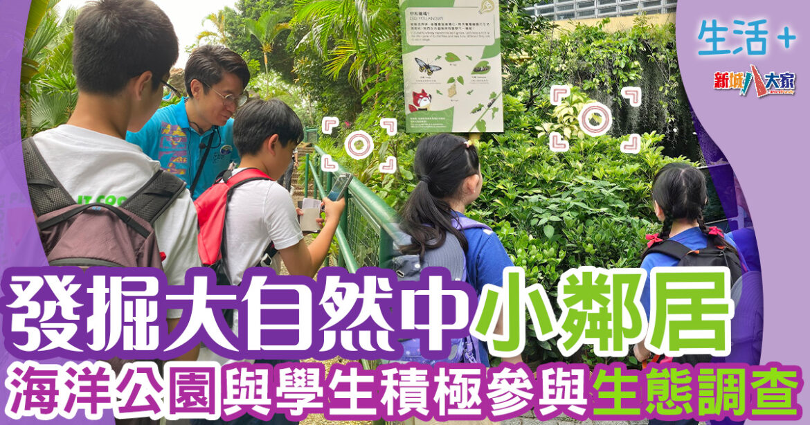 保育活動｜海洋公園與學生積極參與生態調查　發掘大自然中的小鄰居