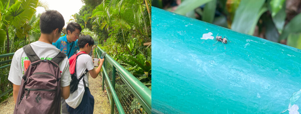 生活-動物保育-好去處-海洋公園-生態調查