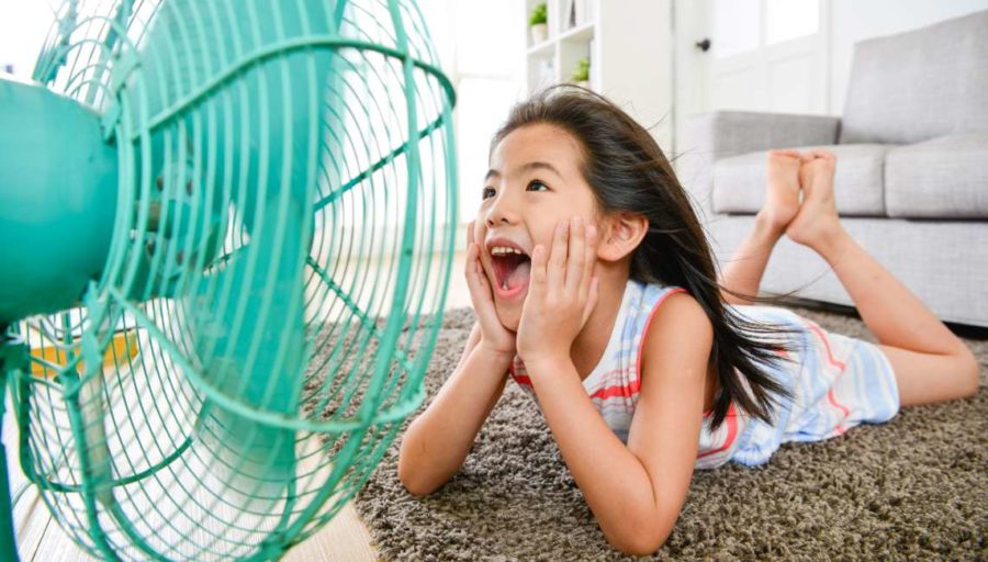 健康-時令養生-中醫養生-凍飲-消暑食譜