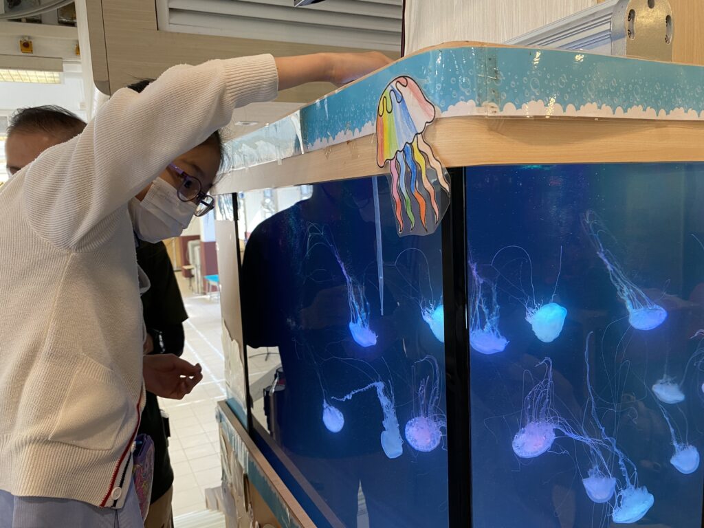 聖公會聖米迦勒小學-津貼學校-stem-校長室3