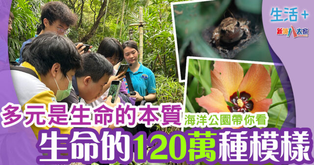 生態保育|生命的120萬種模樣 生活-保育活動-海洋公園-生命教育