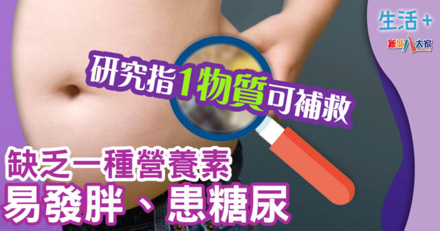 生活-飲食-食物營養-糖尿病-肥胖症-鎂離子