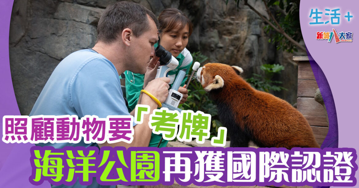 動物保育｜照顧動物要「考牌」　海洋公園再獲國際認證