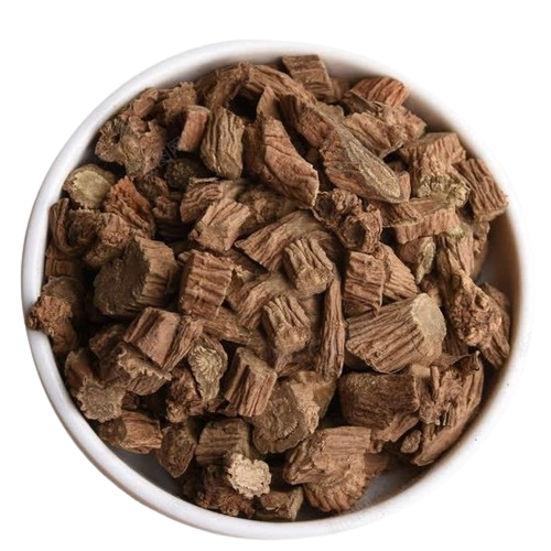 健康-養生治未病-補腎