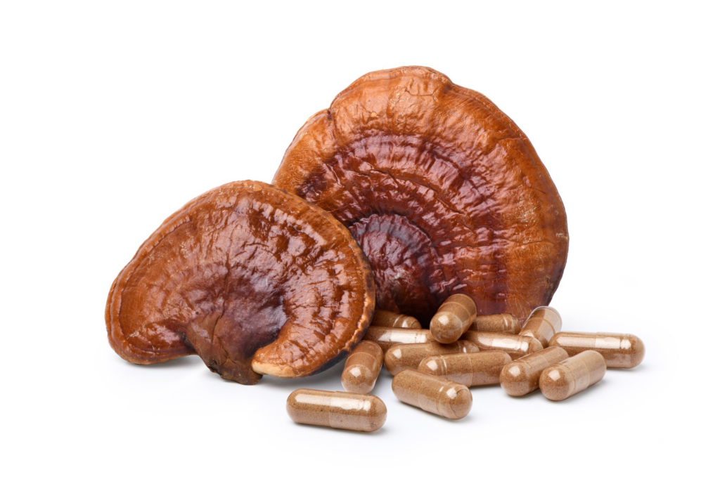 健康-治未病-保健專家-菇菌-保健品