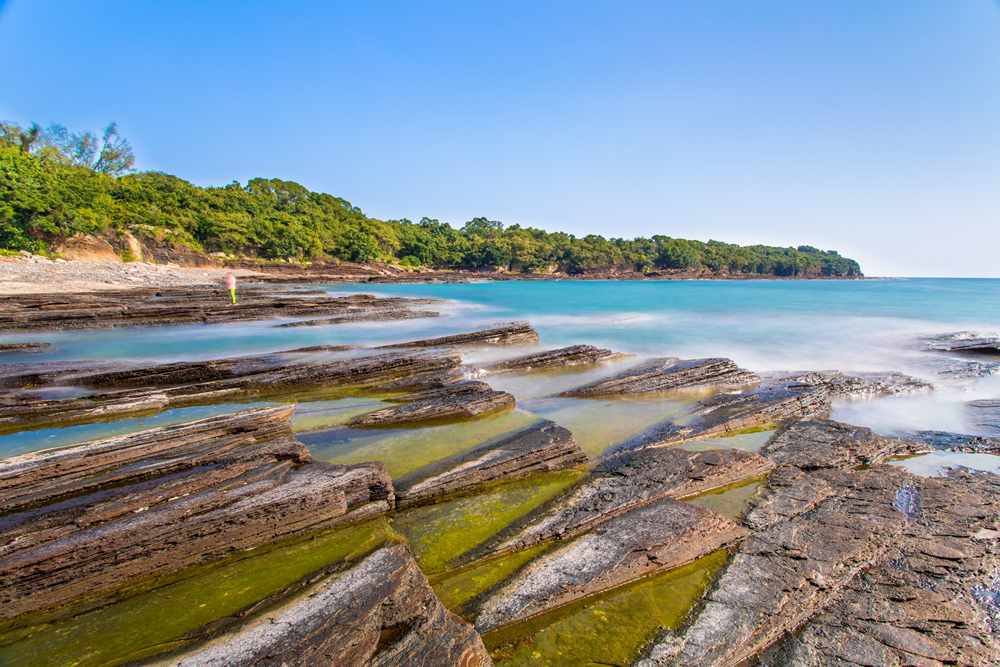 海岸公園-保育-海洋生物-好去處6