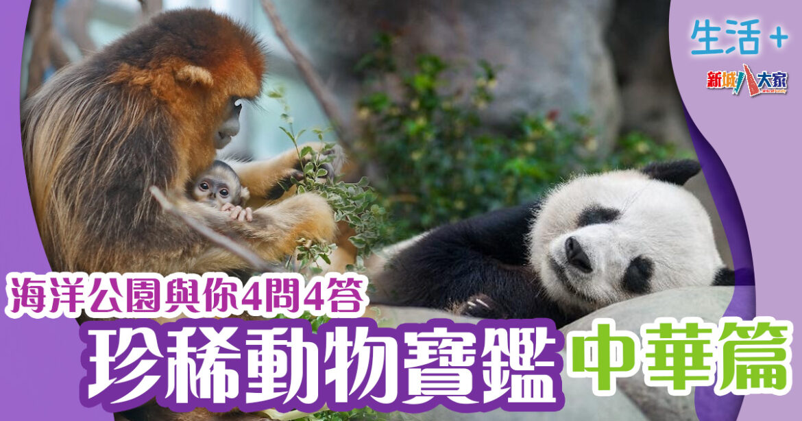 生態保育｜珍稀動物寶鑑：中華篇