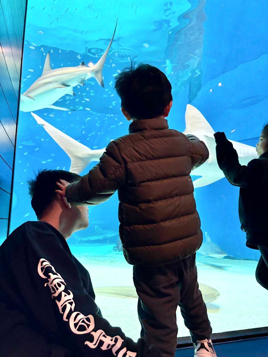 娛樂-明星-譚輝智-前世情人