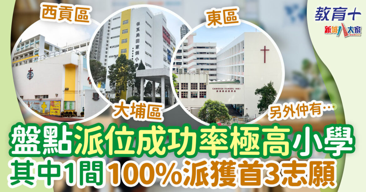 盤點10間派位成功率極高官津小學 派位成績/面試模式/插班資訊/預備文件