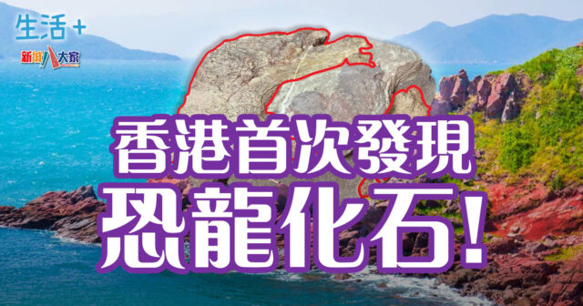 香港首次發現恐龍化石!發現地點已封閉考察、周五起公開展覽 生活-香港-恐龍化石-赤洲島-文物探知館