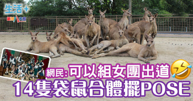 日本-福岡-動物園