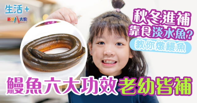 秋冬進補靠食淡水魚?鰻魚六大功效老幼皆補 生活-飲食-食物營養-秋冬進補-鰻魚