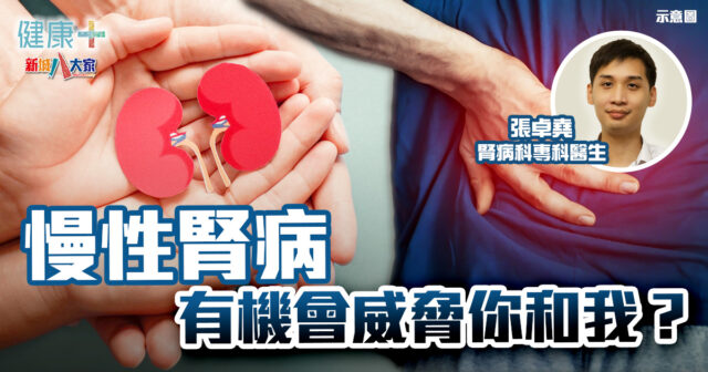 慢性腎病原來有機會威脅你和我?|腎病科專科醫生張卓堯 20241126temp-article5