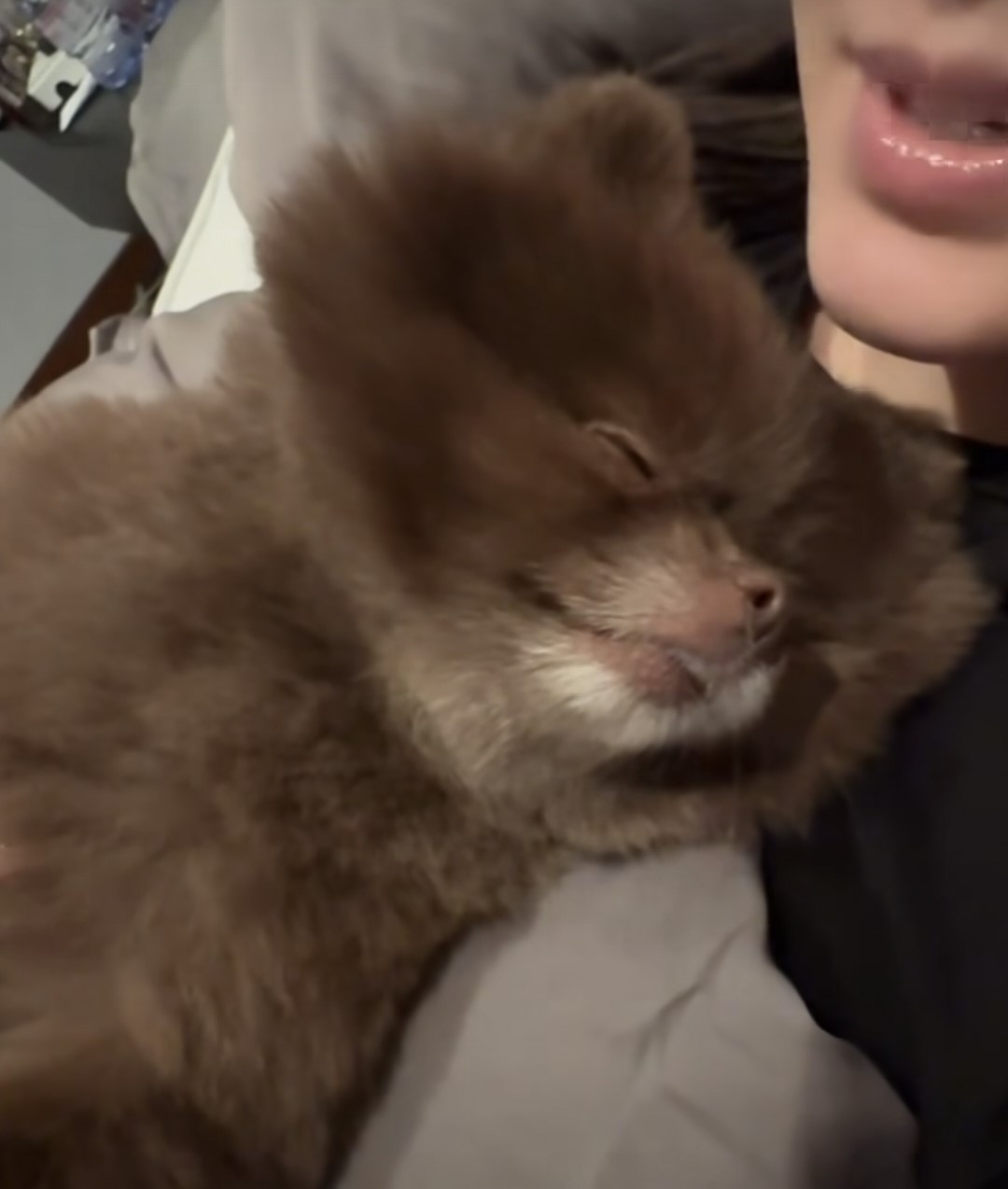 娛樂-阿嬌-遊大阪-北京豪宅