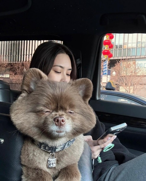 娛樂-阿嬌-遊大阪-北京豪宅