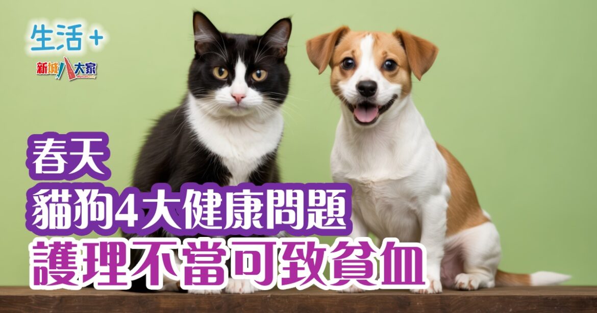 春天貓狗4大健康問題  護理不當可致貧血