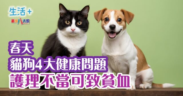 生活-家居-貓狗護理