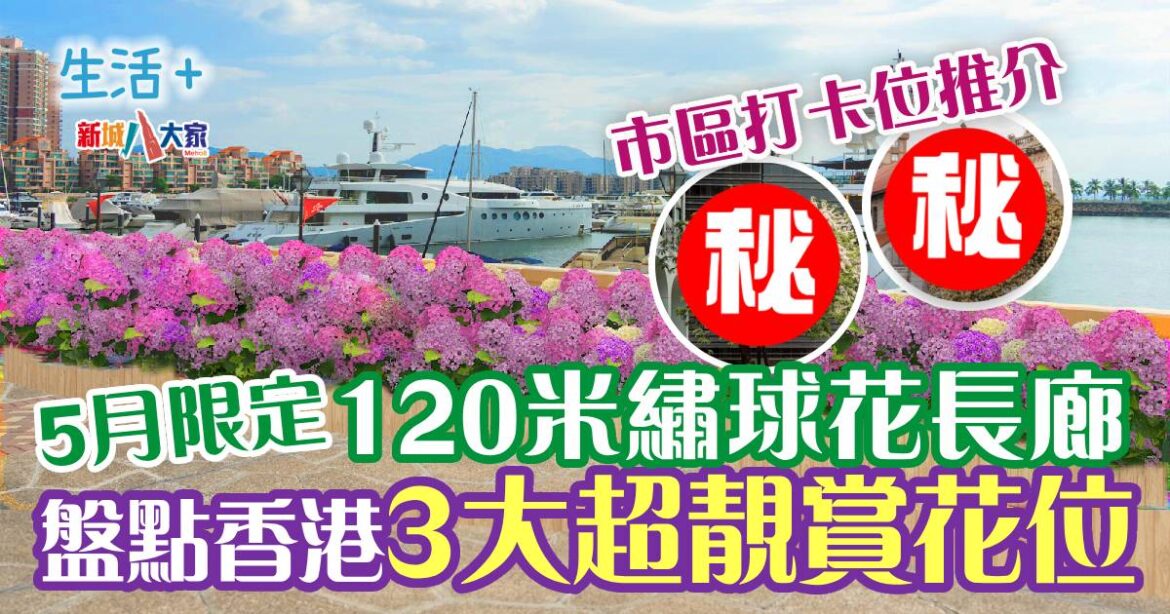 好去處｜120米繡球花長廊5月屯門登場 盤點香港3大超靚賞花打卡位