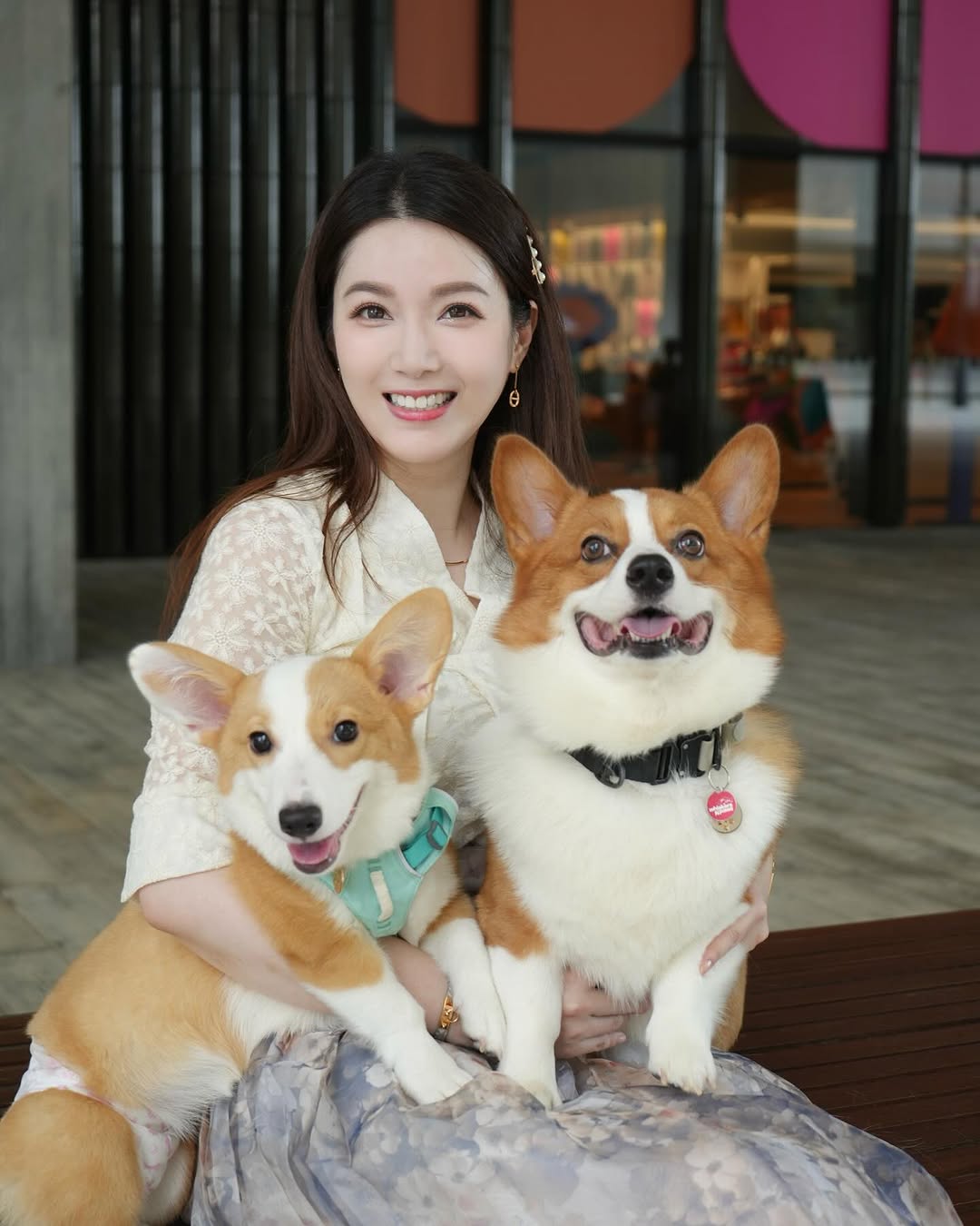 娛樂-苟芸慧-離婚-復出大計