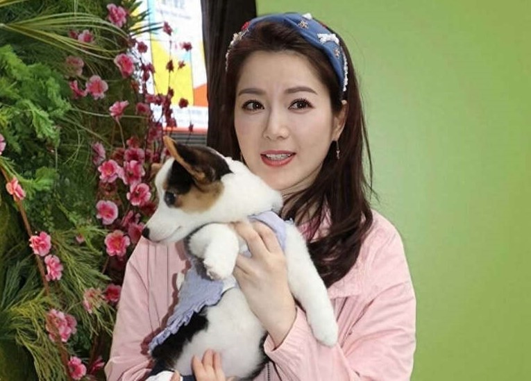 娛樂-苟芸慧-離婚-復出大計