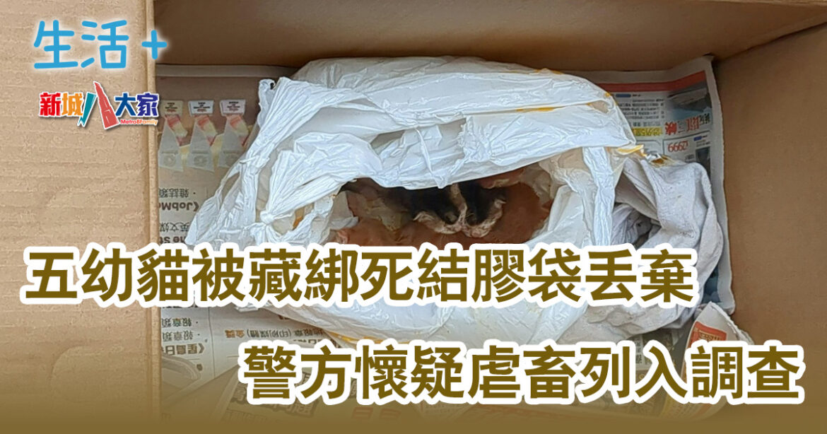 五幼貓被藏綁死結膠袋丟棄 警方懷疑虐畜列入調查