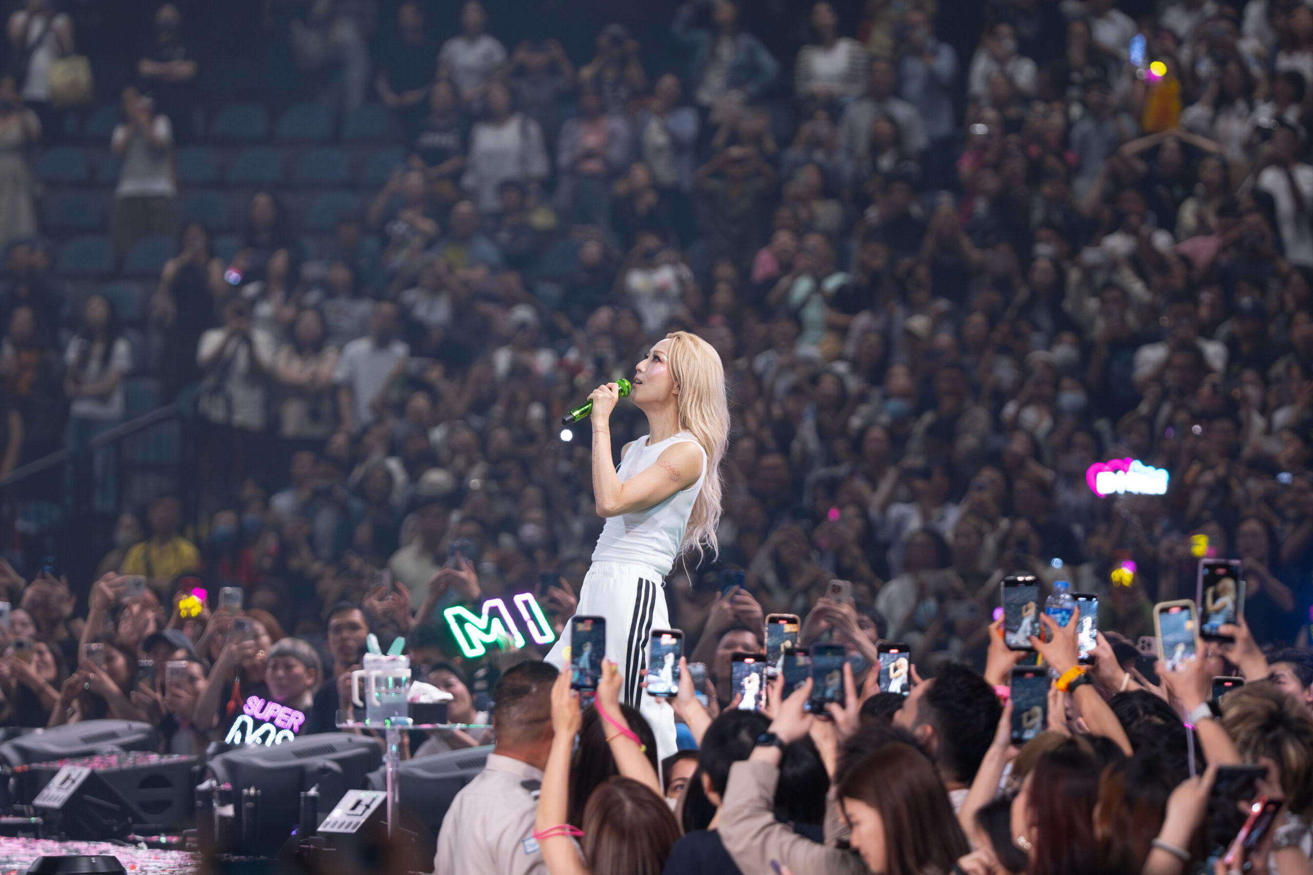 娛樂-鄭秀文-鄭欣宜-吳雨霏-密謀復出