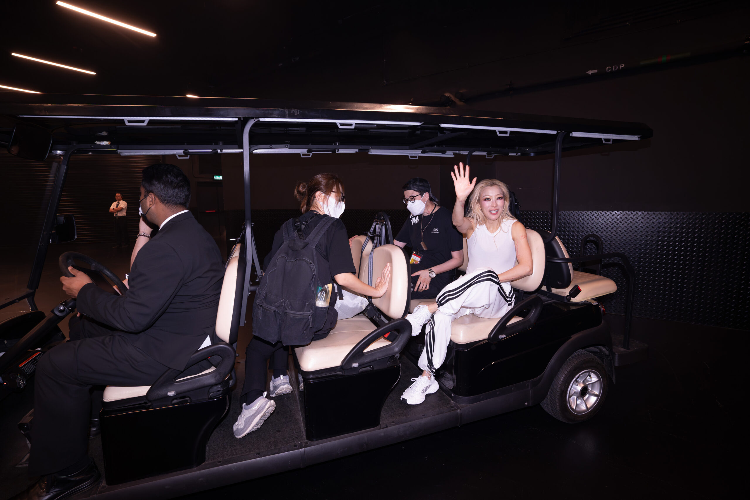 娛樂-鄭秀文-鄭欣宜-吳雨霏-密謀復出