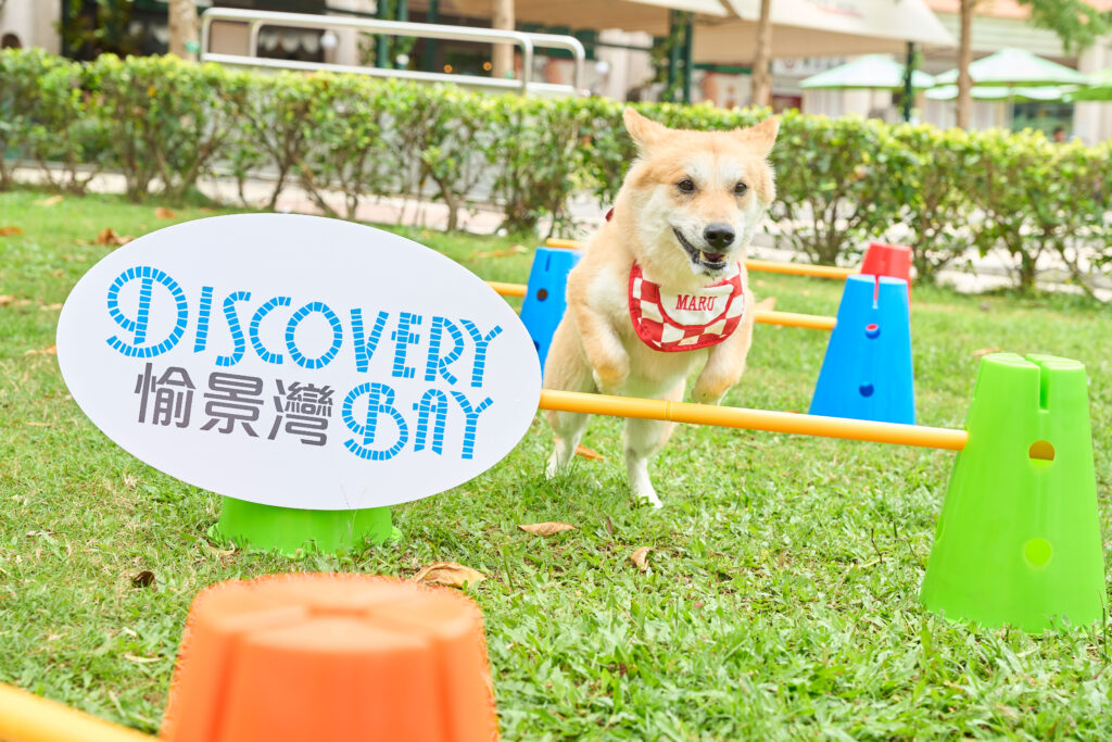 好去處-6月-毛孩-非遺-免費5