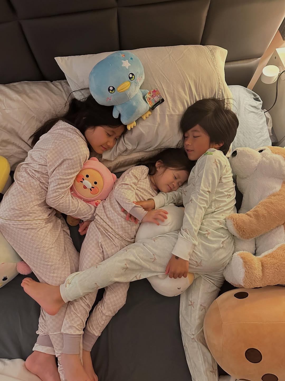 娛樂-鍾嘉欣-常在心-返加拿大