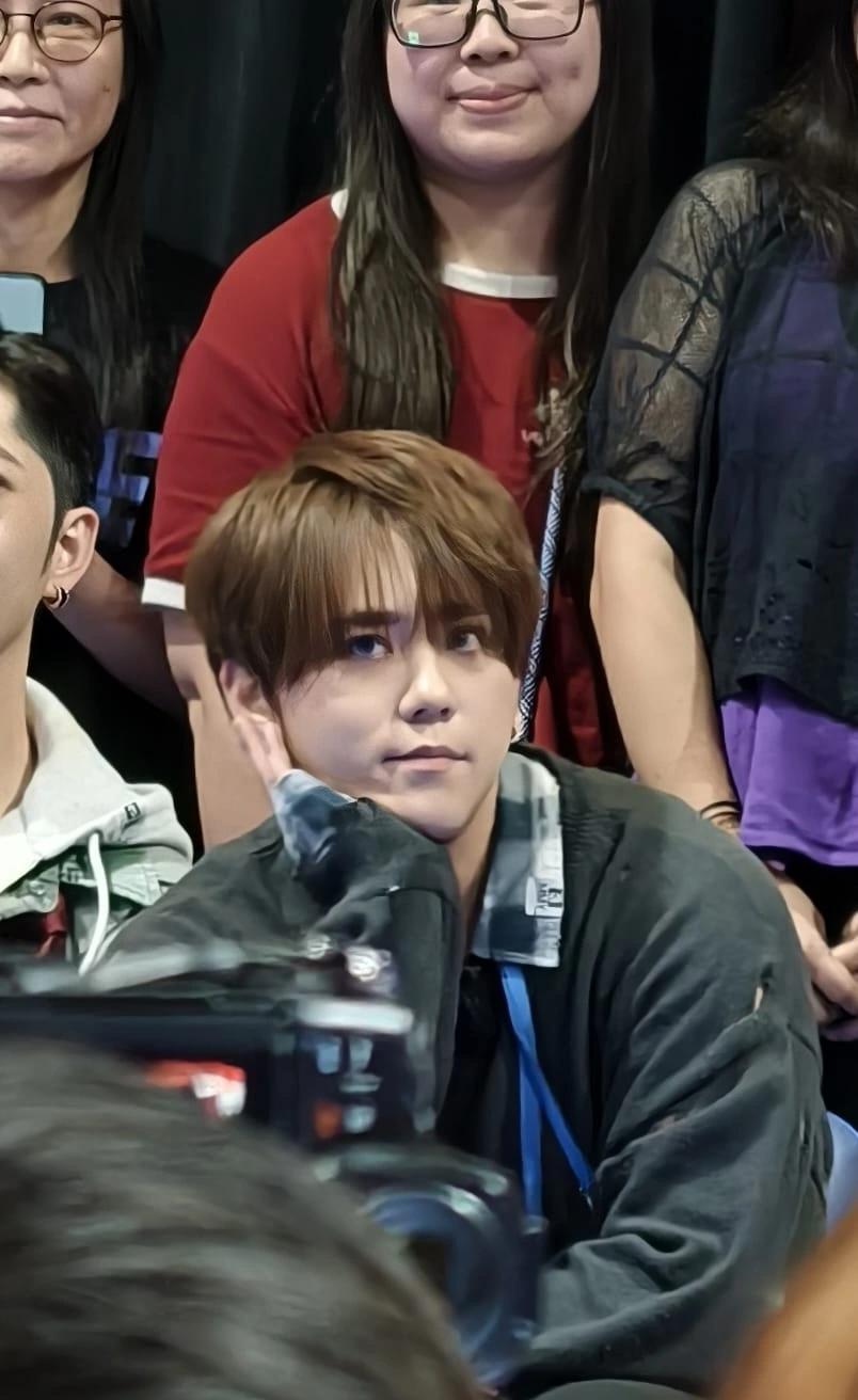 娛樂-姜濤-西環墜海-獲救