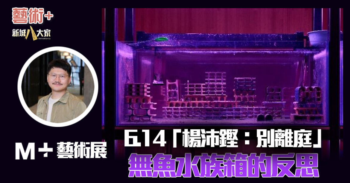M+藝術展｜6.14「楊沛鏗：別離庭」回應展 無魚水族箱的反思