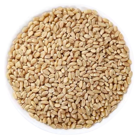 健康-養生治未病-食療-穴位按摩-減壓