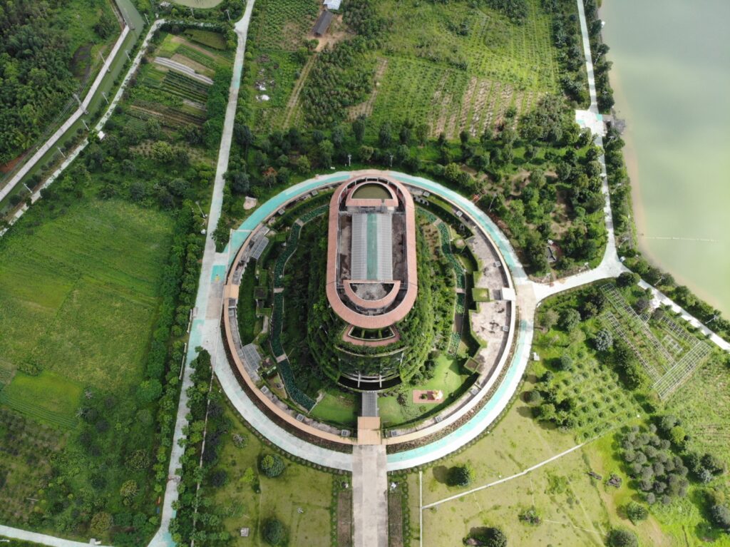 龜益壽龜苓膏-養生-健康-飲食1