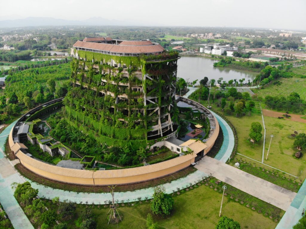 龜益壽龜苓膏-養生-健康-飲食2