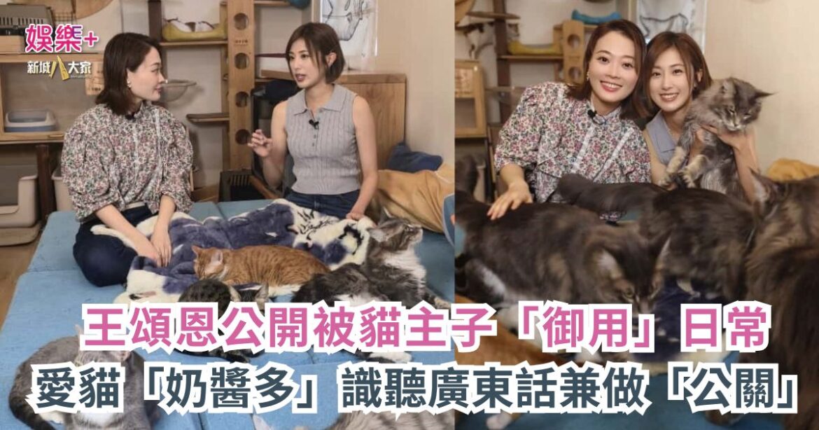 《寵愛您》｜王頌恩公開被貓主子「御用」日常 愛貓「奶醬多」識聽廣東話兼做「公關」