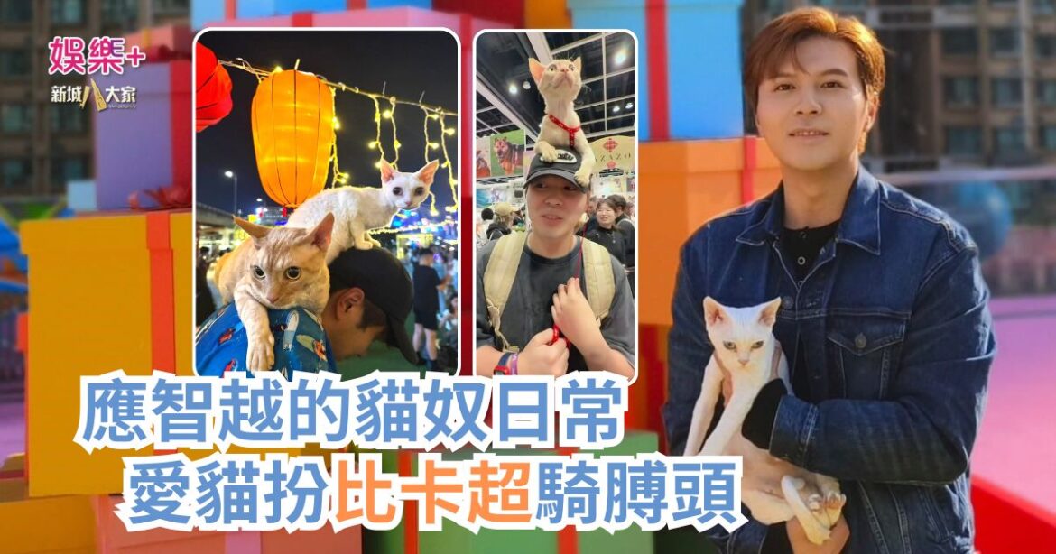 《寵愛您》｜應智越的貓奴日常 愛貓扮比卡超騎膊頭